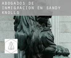 Abogados de inmigración en  Sandy Knolls