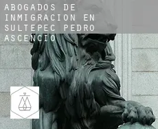 Abogados de inmigración en  Sultepec de Pedro Ascencio de Alquisiras