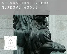 Separación en  Fox Meadows Woods
