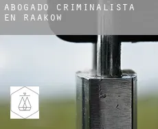 Abogado criminalista en  Raakow