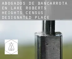 Abogados de bancarrota en Lake Roberts Heights