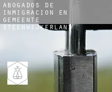 Abogados de inmigración en  Gemeente Steenwijkerland