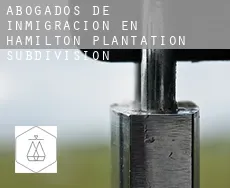 Abogados de inmigración en Hamilton Plantation Subdivision