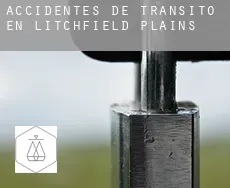 Accidentes de tránsito en  Litchfield Plains