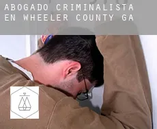 Abogado criminalista en  Wheeler County
