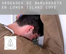 Abogados de bancarrota en  Lower Island Cove