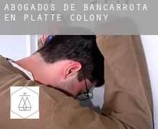 Abogados de bancarrota en Platte Colony