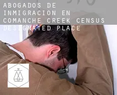 Abogados de inmigración en  Comanche Creek