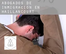 Abogados de inmigración en  Haillancourt