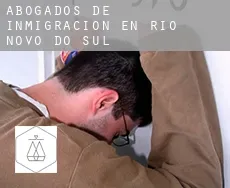 Abogados de inmigración en  Rio Novo do Sul