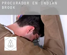 Procurador en  Indian Brook