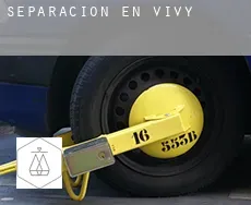 Separación en Vivy