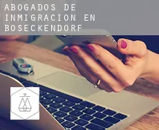 Abogados de inmigración en  Böseckendorf