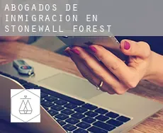 Abogados de inmigración en  Stonewall Forest