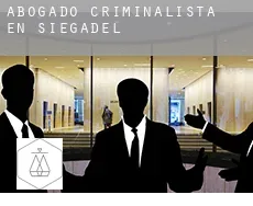 Abogado criminalista en  Siegadel