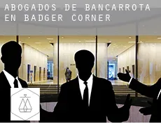 Abogados de bancarrota en Badger Corner