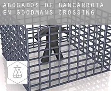 Abogados de bancarrota en  Goodmans Crossing