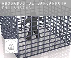 Abogados de bancarrota en  Lansing