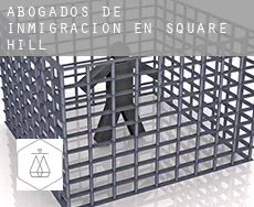 Abogados de inmigración en  Square Hill