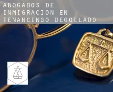 Abogados de inmigración en  Tenancingo de Degollado