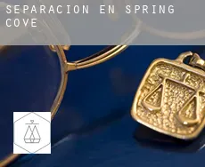 Separación en  Spring Cove