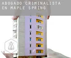 Abogado criminalista en  Maple Spring