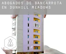 Abogados de bancarrota en  Dunhill Meadows
