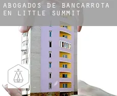 Abogados de bancarrota en  Little Summit