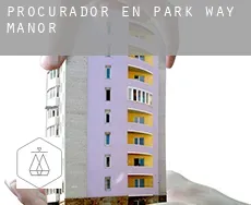 Procurador en  Park Way Manor
