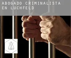 Abogado criminalista en  Lüchfeld