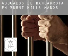 Abogados de bancarrota en  Burnt Mills Manor
