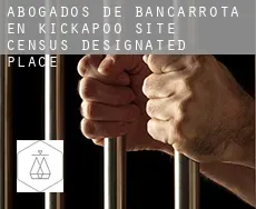 Abogados de bancarrota en  Kickapoo Site 1