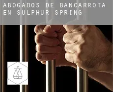 Abogados de bancarrota en  Sulphur Spring