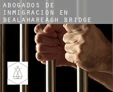 Abogados de inmigración en  Bealahareagh Bridge