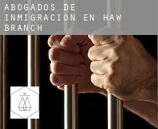 Abogados de inmigración en  Haw Branch