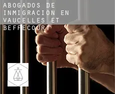 Abogados de inmigración en  Vaucelles-et-Beffecourt