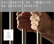 Accidentes de tránsito en Sayers Forest