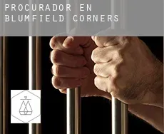 Procurador en  Blumfield Corners
