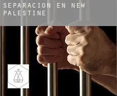 Separación en New Palestine