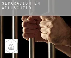 Separación en  Willscheid