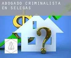 Abogado criminalista en  Selegas