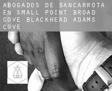 Abogados de bancarrota en  Small Point-Broad Cove-Blackhead-Adams Cove