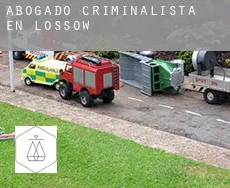 Abogado criminalista en  Lossow