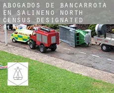 Abogados de bancarrota en  Salineno North