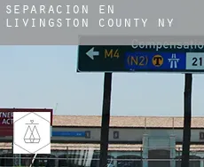 Separación en  Livingston County