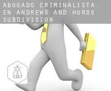 Abogado criminalista en  Andrews and Hurds Subdivision