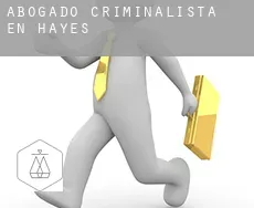 Abogado criminalista en  Hayes