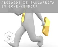 Abogados de bancarrota en  Schenkendorf