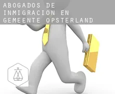 Abogados de inmigración en  Gemeente Opsterland