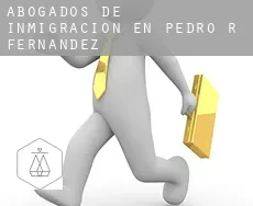 Abogados de inmigración en  Pedro R. Fernández